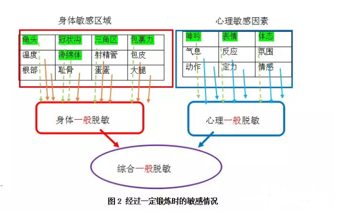 心理脱敏和综合脱敏锻炼