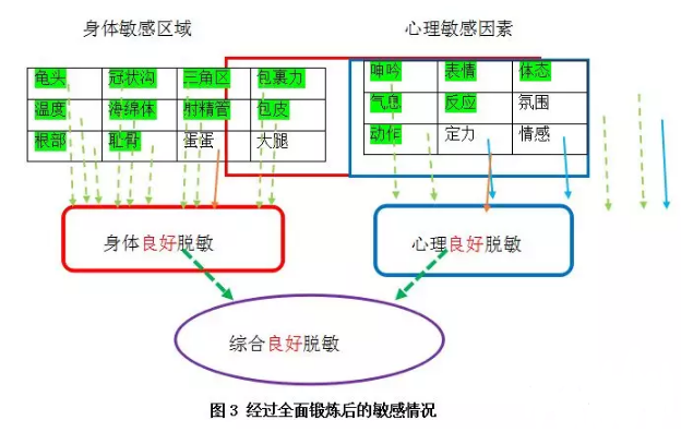 主要因素的脱敏