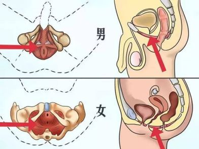 勃起不坚容易疲软怎么办