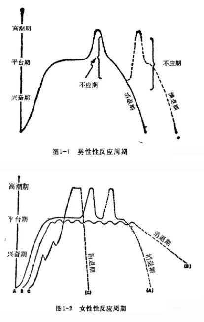 不应期