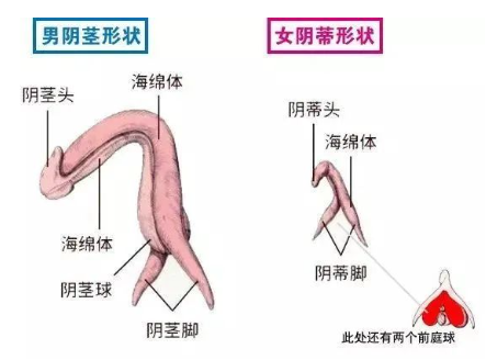 女人的杏福没那么复杂