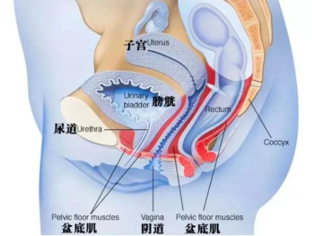 科学依据