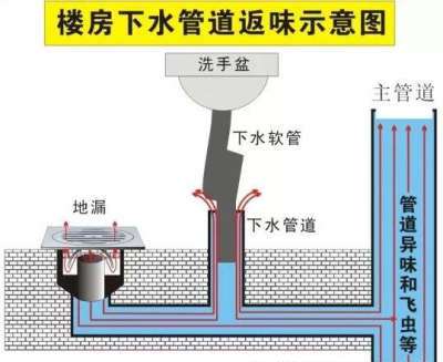 彻底解决洗手间里出现的臭味