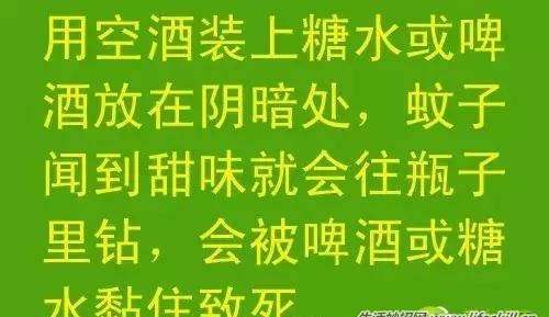 教你几招，蚊子一个夏天都不敢进你房间！