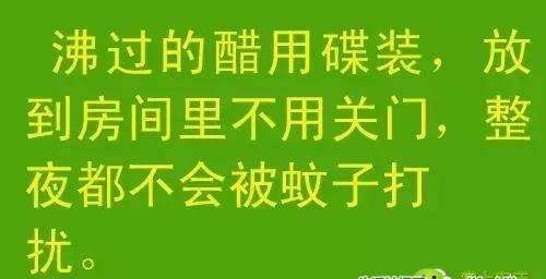 教你几招，蚊子一个夏天都不敢进你房间！