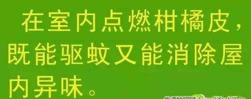 教你几招，蚊子一个夏天都不敢进你房间！