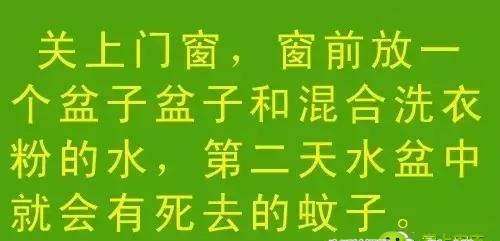 教你几招，蚊子一个夏天都不敢进你房间！