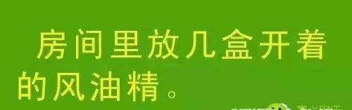 教你几招，蚊子一个夏天都不敢进你房间！