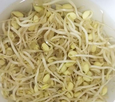 豆芽500克，木耳少许，胡萝卜100克