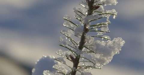 大雪节气由来