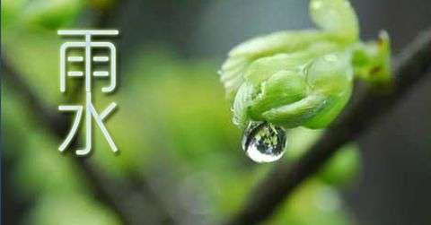 雨水节气有什么讲究