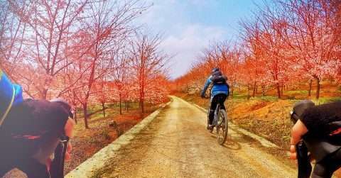 骑自行车旅游需要准备什么