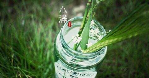 小满节气的介绍