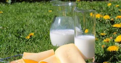 幼儿夏季喝牛奶吐是怎么回事