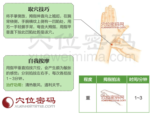 阳溪穴的准确位置