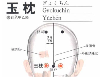 玉枕穴位位置图