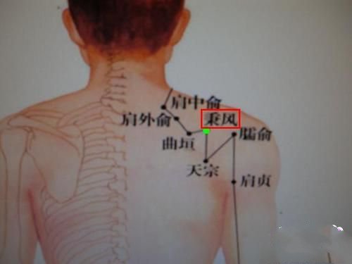 秉风穴位位置图