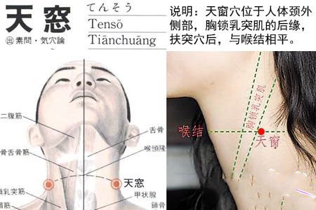 天窗穴位位置图