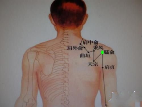臑俞穴位位置图