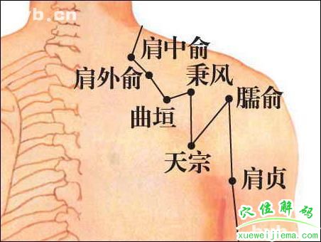 肩外俞穴