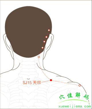 天髎穴