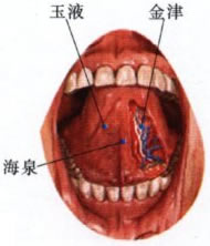 玉液穴