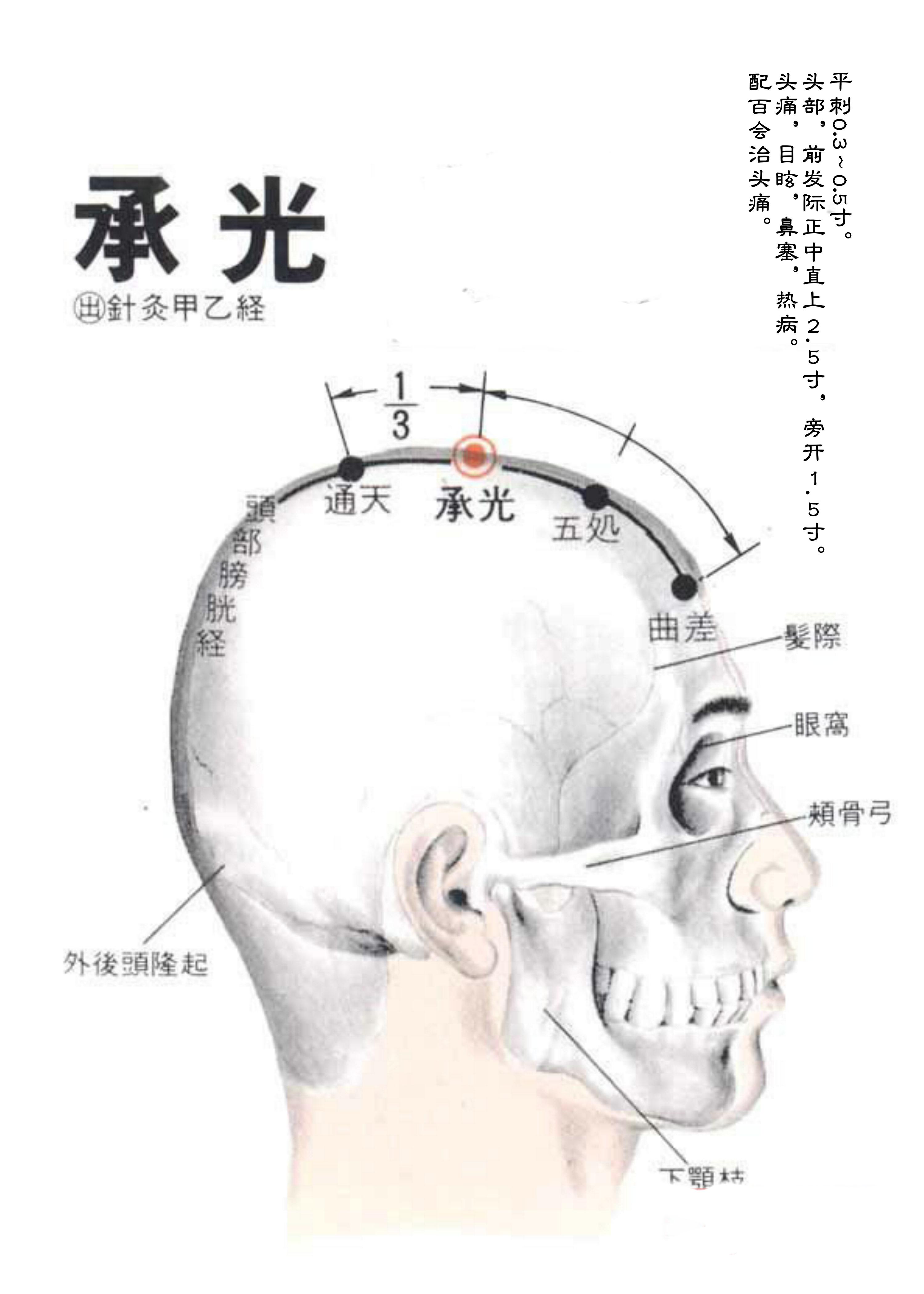 针灸经脉穴位图则之三十（足太阳膀胱经经穴图则之一）