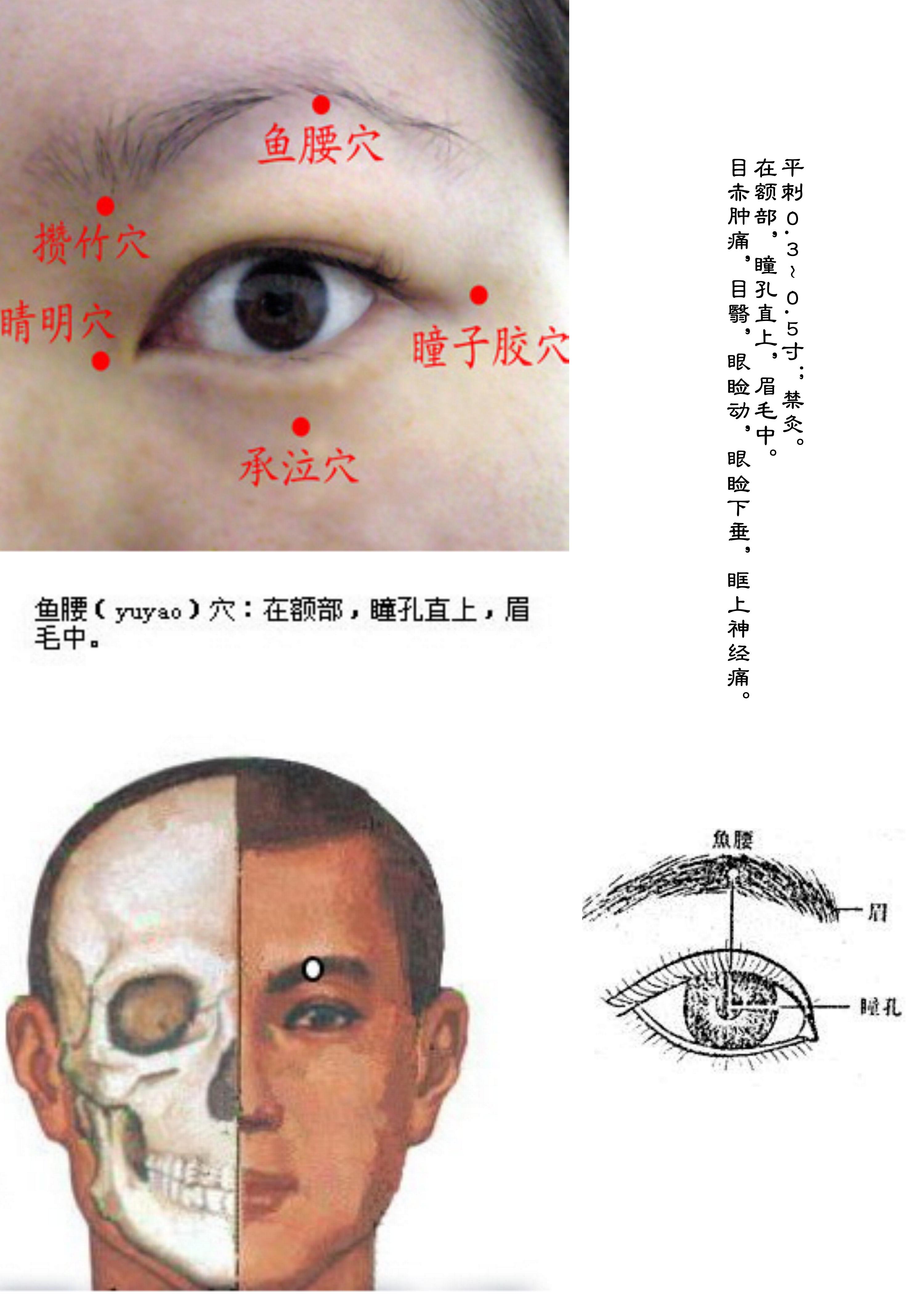 针灸经脉穴位图则之四十三（经外奇穴图则之一）