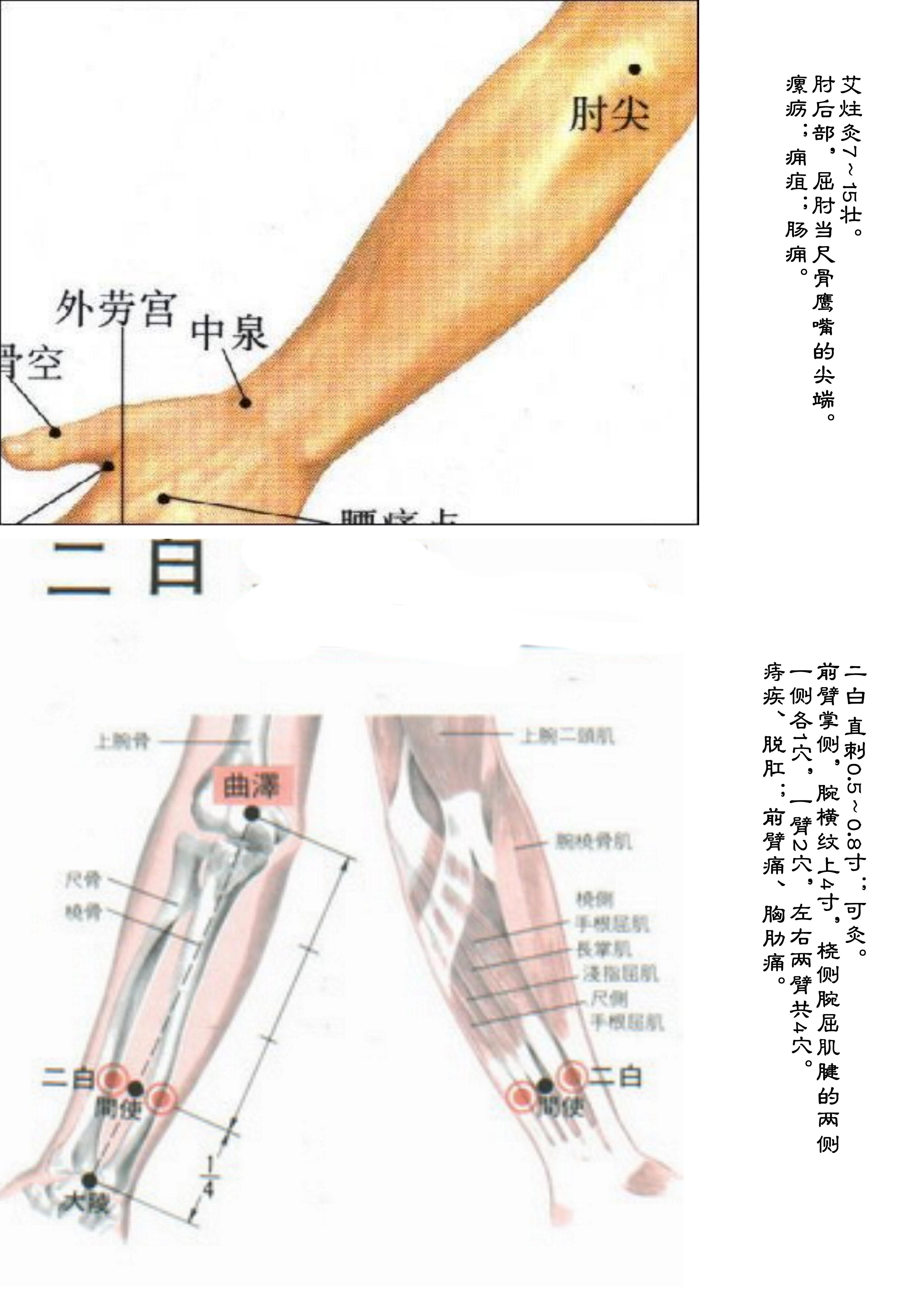 针灸经脉穴位图则之四十四（经外奇穴图则之二）