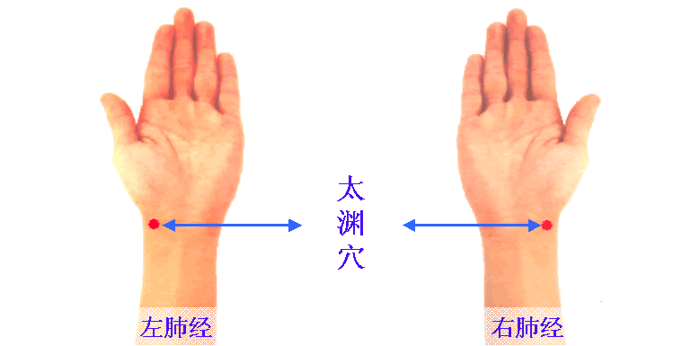 太渊穴的准确位置图