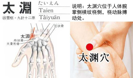 太渊穴的准确位置图