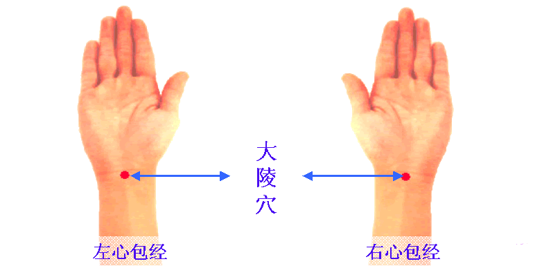 大陵穴的准确位置图