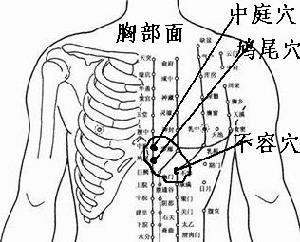 不容穴