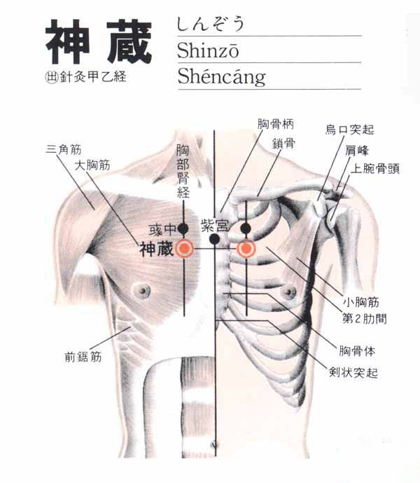 神藏穴