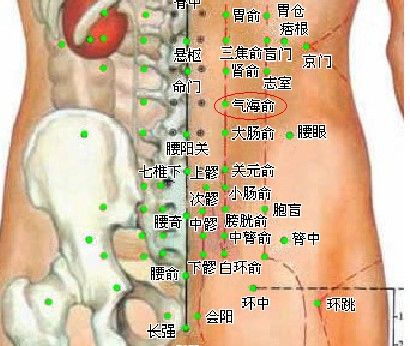 气海俞穴