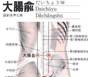 大肠俞穴