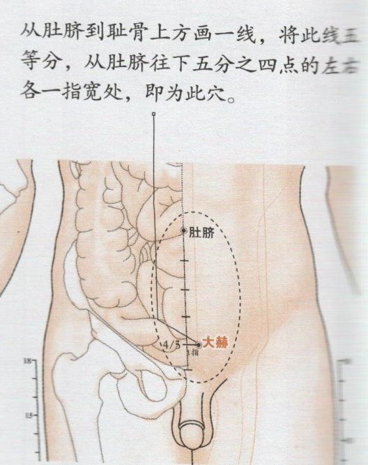 大赫穴