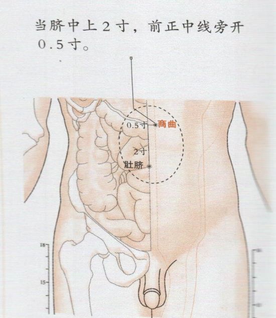 商曲穴