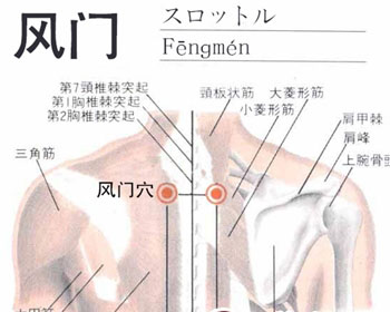 风门穴的准确位置图