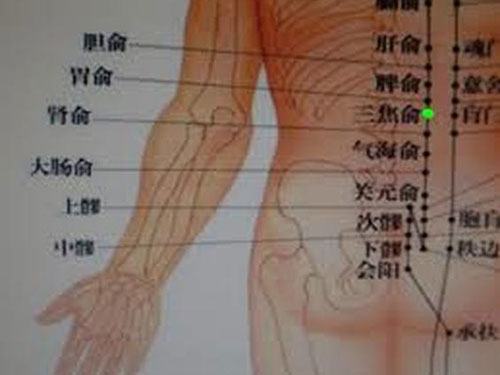 三焦俞穴位位置图