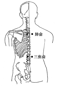 三焦俞穴位位置图