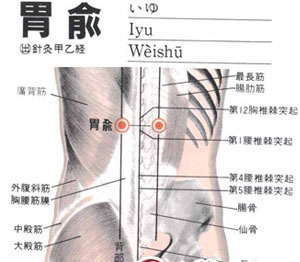 胃俞穴的准确位置图