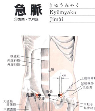 急脉穴