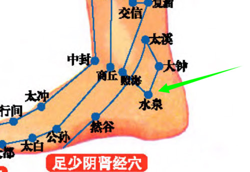 水泉穴