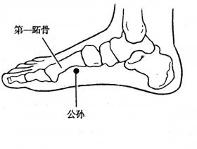 公孙穴