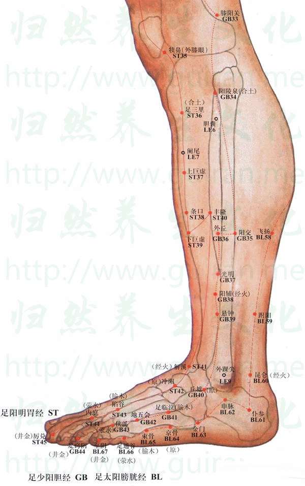 足窍阴穴