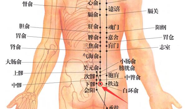 白环俞穴