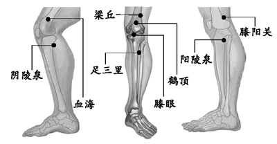 鹤顶穴