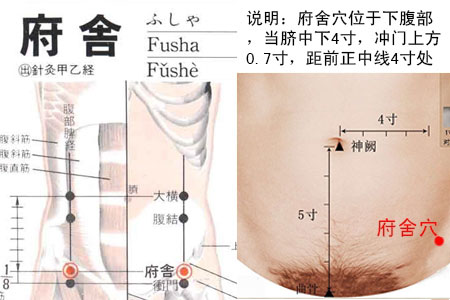 府舍穴