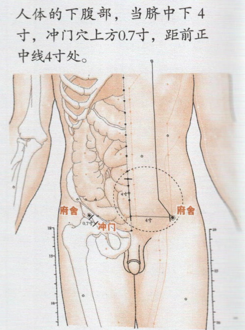 府舍穴